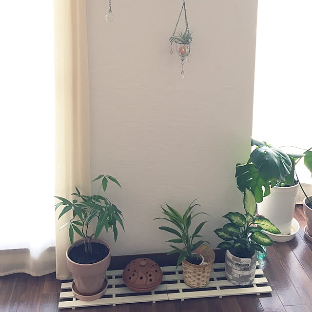 部屋全体/観葉植物/100均/セリアのインテリア実例 - 2017-07-22 11:16:44