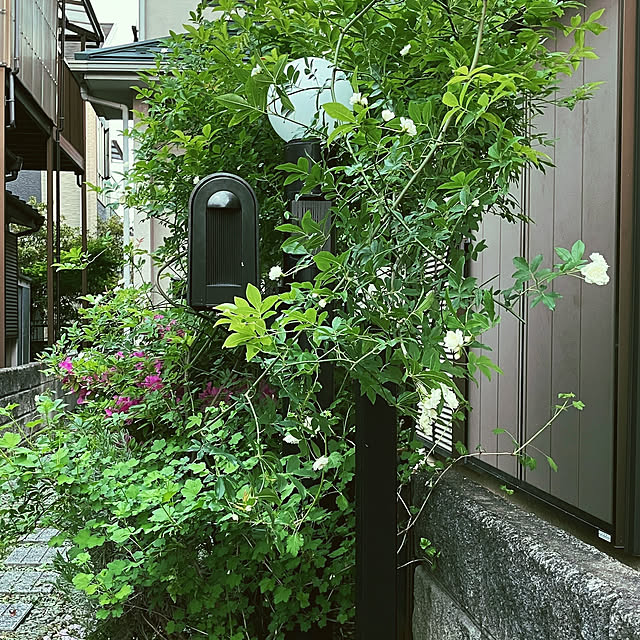akanekoさんの実例写真
