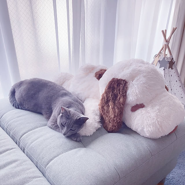 snoopyさんの実例写真