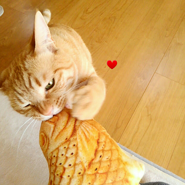 mayutan.さんの実例写真