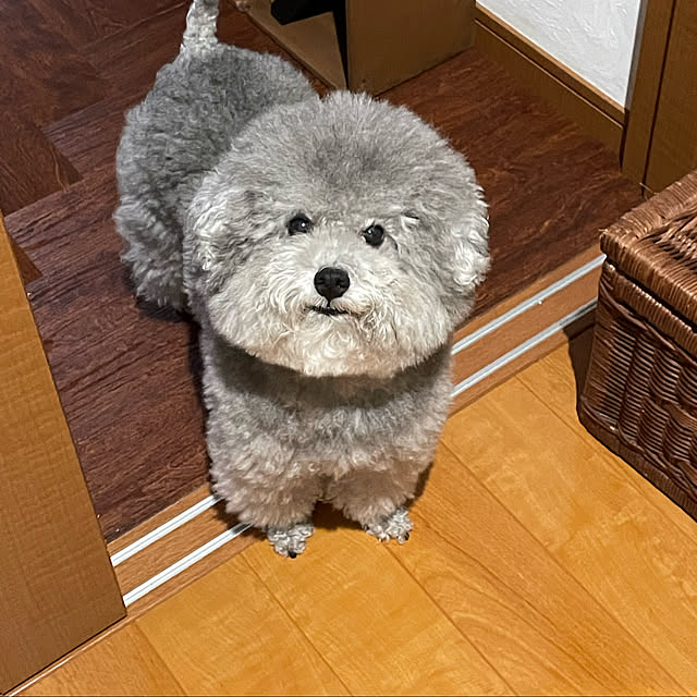 meguko.ryanさんの実例写真