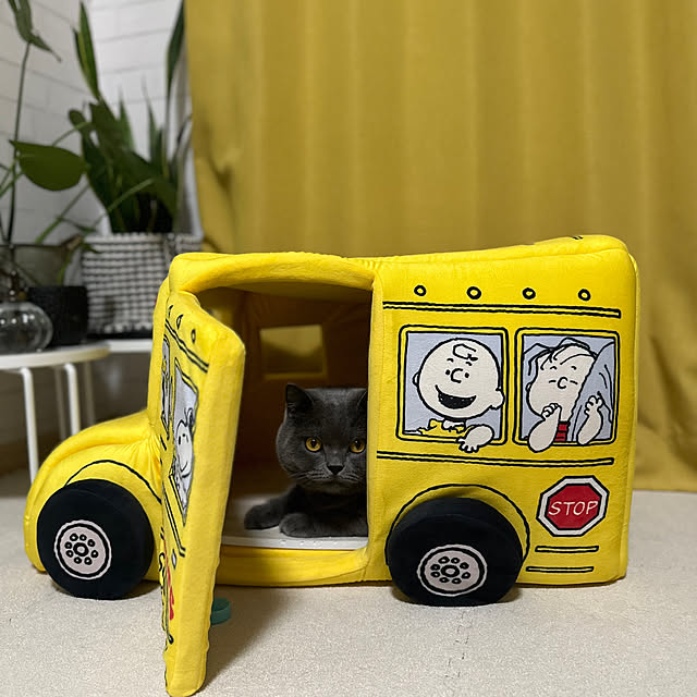 kittyさんの部屋
