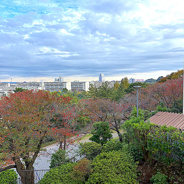 syutmmさんの部屋