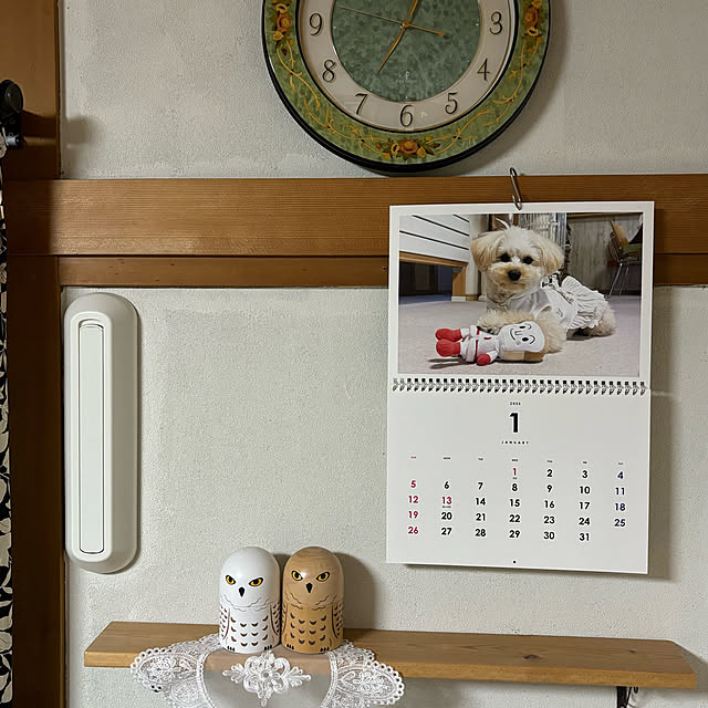 momocchiさんの実例写真