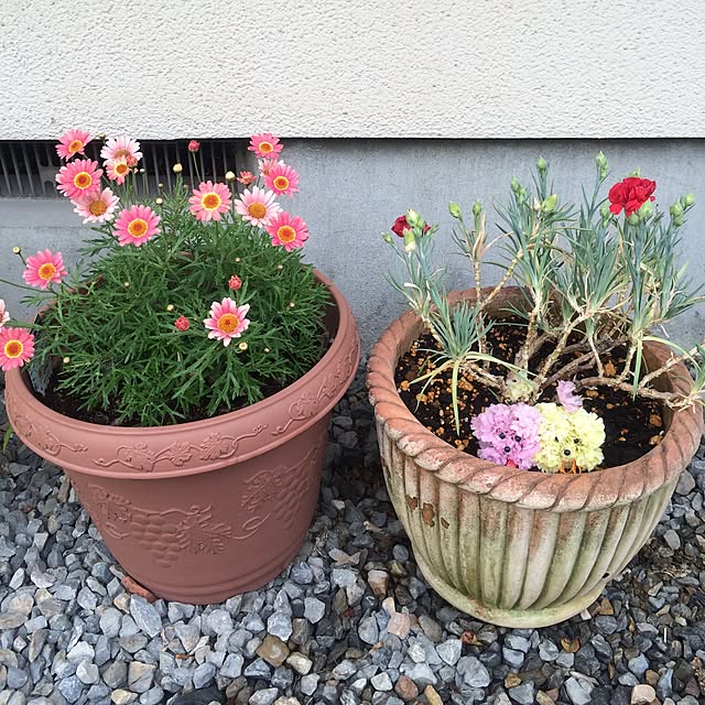 hanaさんの実例写真