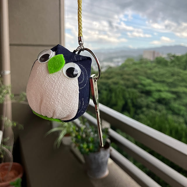 koshiregutyoさんの実例写真