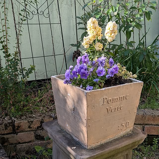 Rさんの実例写真