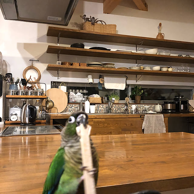 500cinquさんの実例写真