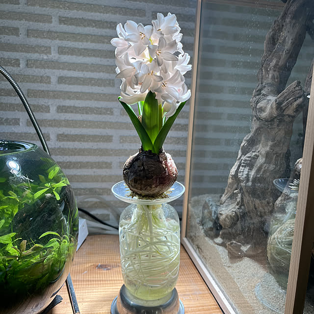 TCFJさんの実例写真