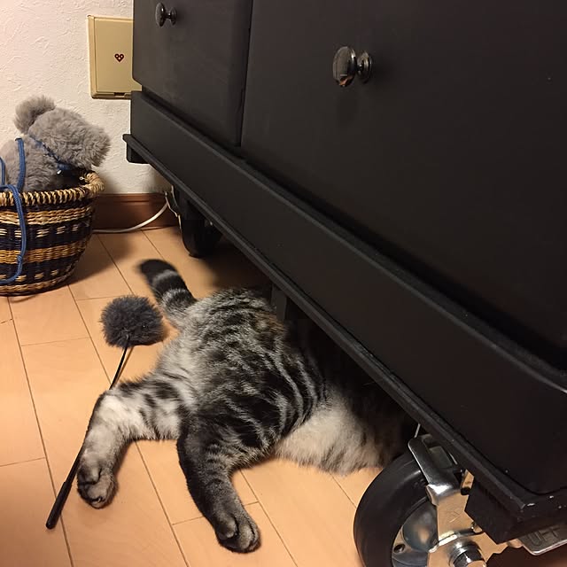 haruさんの実例写真