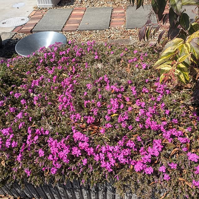 quanshanxia037さんの部屋