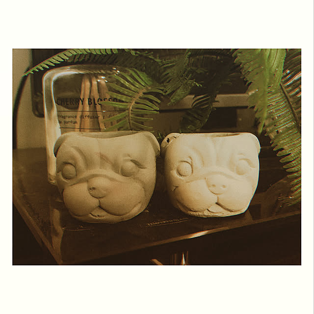 bijou-taroさんの実例写真