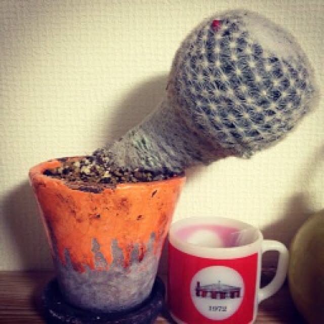steve-steigmanさんの実例写真