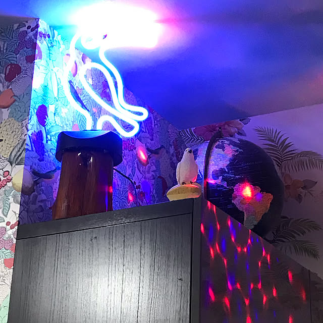 cyborg69さんの実例写真