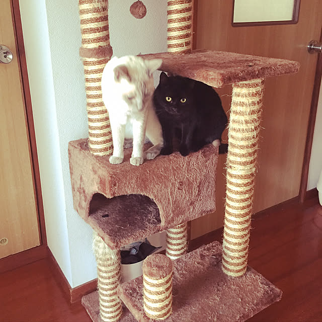 OmamekOさんの実例写真