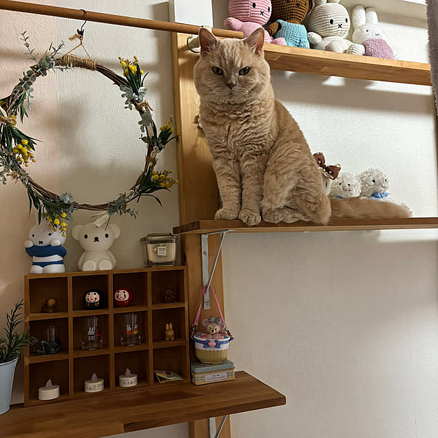 naokoさんの部屋