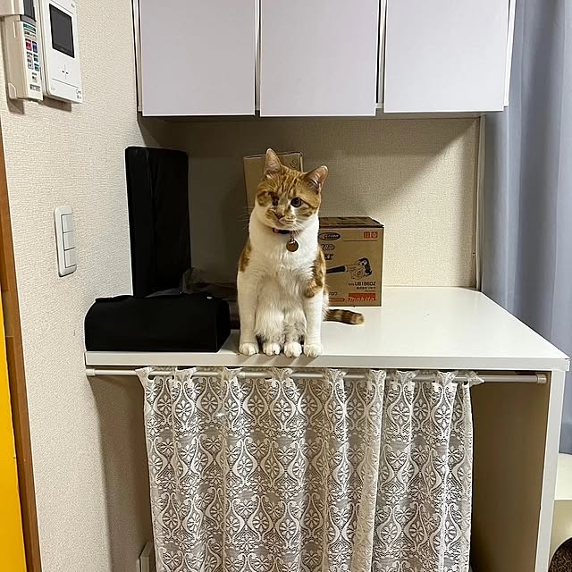 noguriさんの実例写真