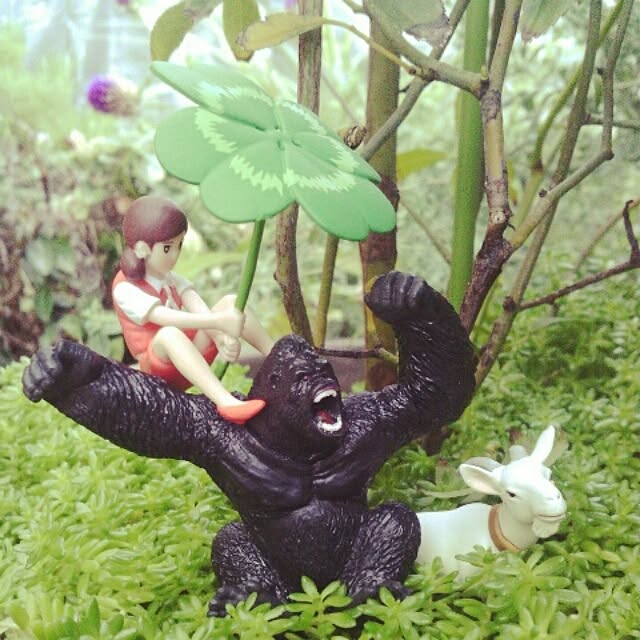 akr29さんの実例写真
