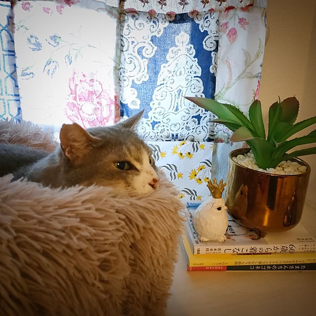 Yoko622さんの実例写真
