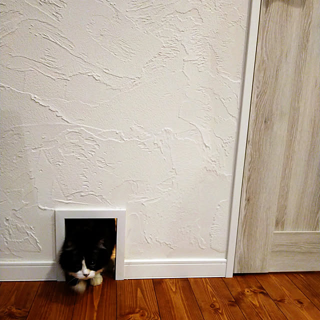 yukaさんの実例写真