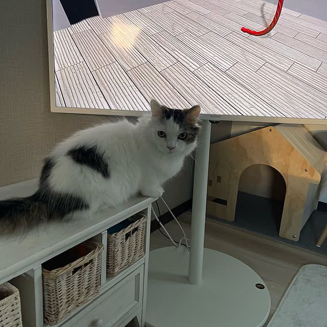 nyannyanさんの実例写真