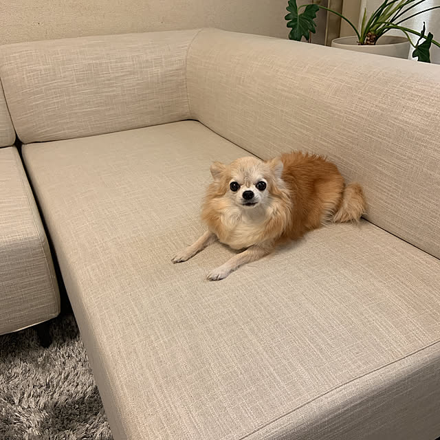 Emafuさんの実例写真