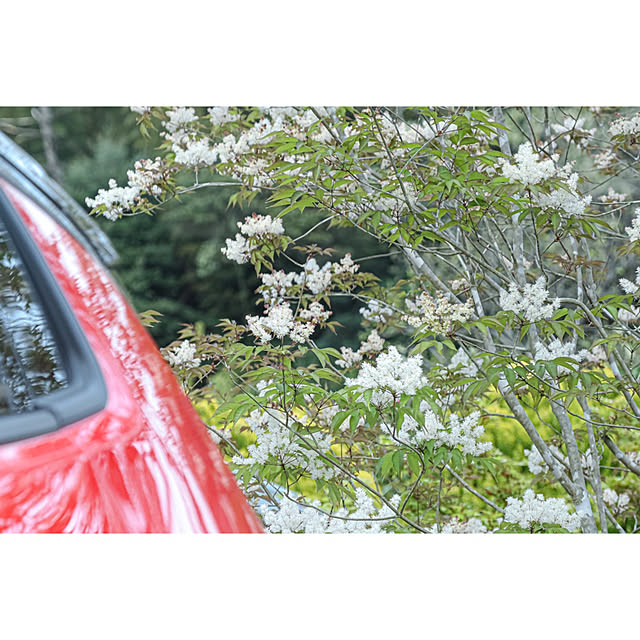 5mayさんの実例写真