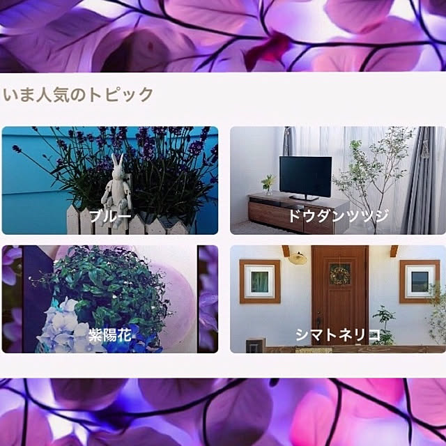 koyuriさんの実例写真