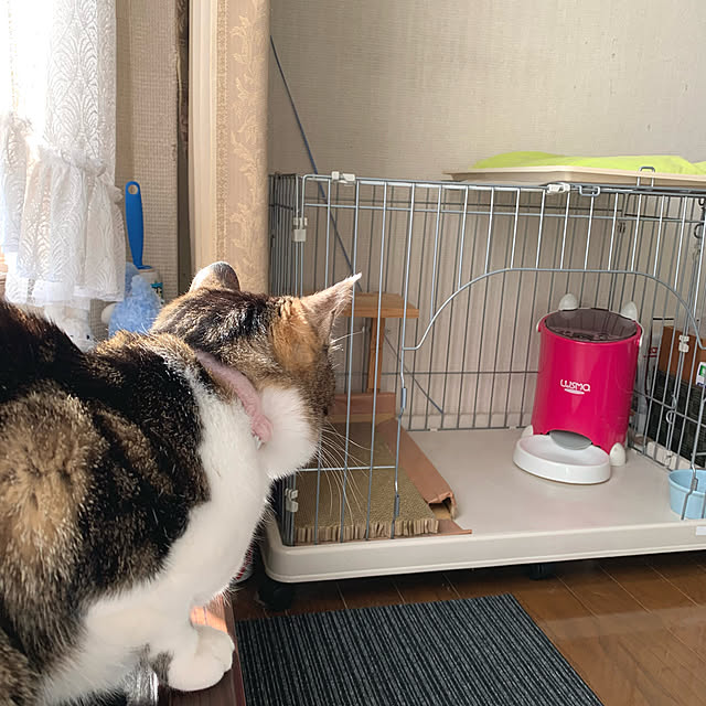 mariさんの実例写真