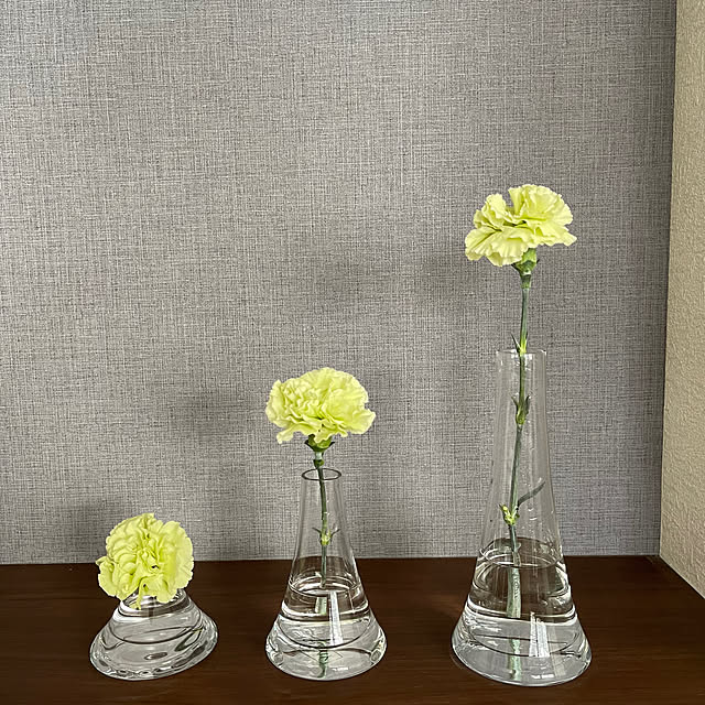 一輪挿し/花のある暮らし/ディスプレイコーナー/花を飾る/花好き...などのインテリア実例 - 2023-06-10 01:26:17