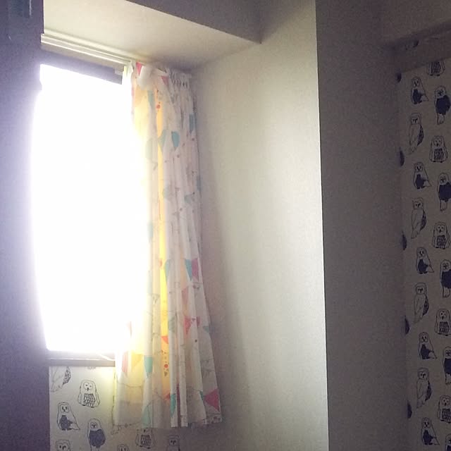 245さんの実例写真