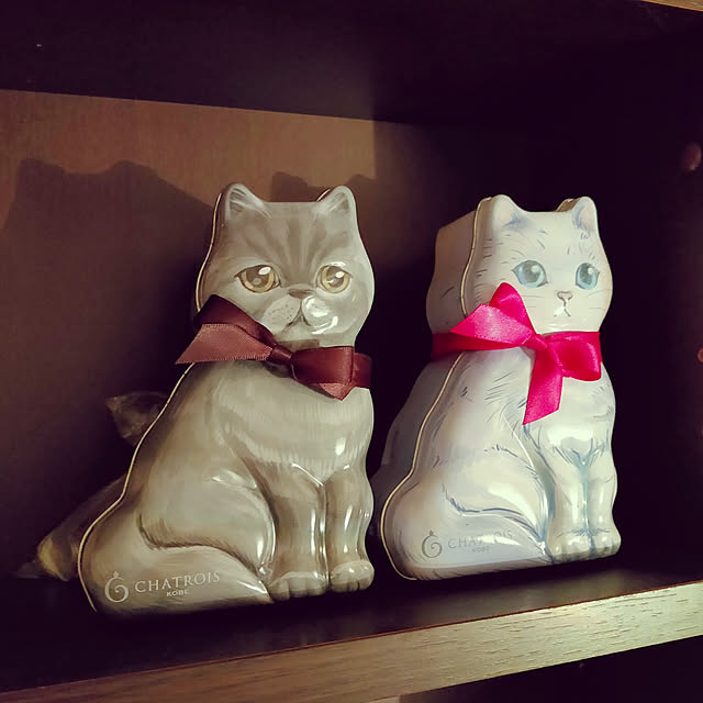 Tomoさんの実例写真