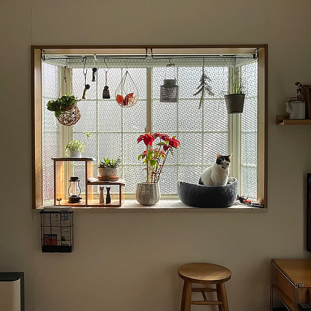 nobikoさんの実例写真