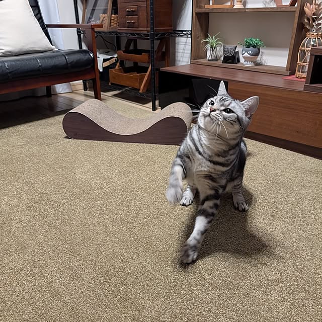 lovepeaceさんの部屋