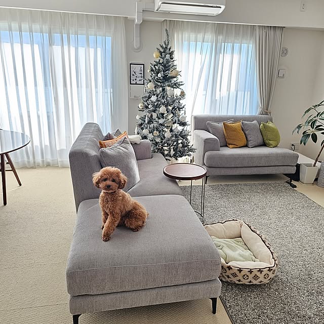 Pokoさんの実例写真