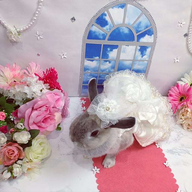 yokomokoさんの実例写真