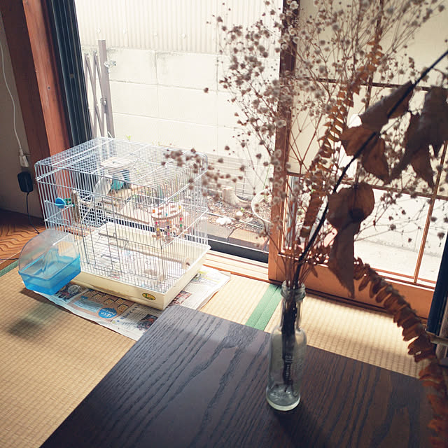 fruityanさんの実例写真
