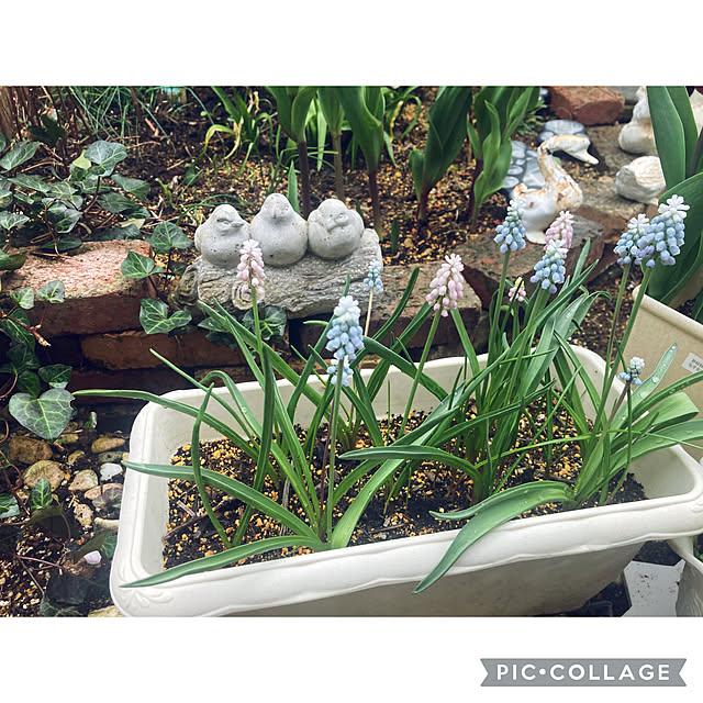 CoCo0617さんの部屋