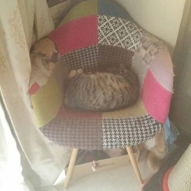 annさんの実例写真
