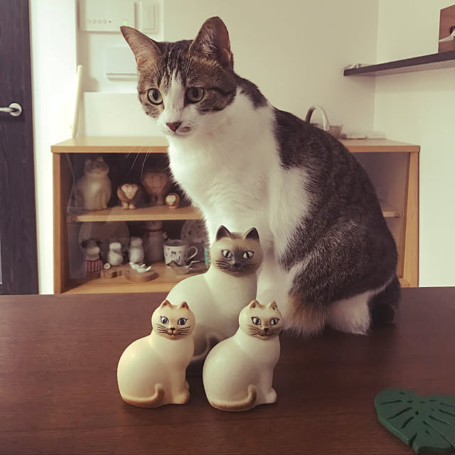 mpwさんの実例写真
