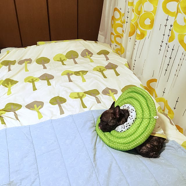 ベッド周りのインテリア実例 - 2015-06-03 00:58:01