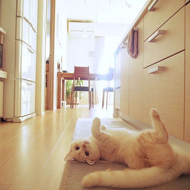 y.k.0123さんの実例写真