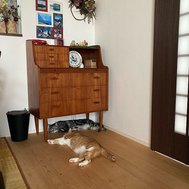 mkmkmoominさんの実例写真