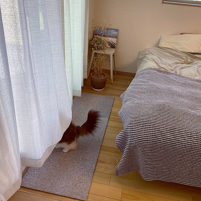 cotesanさんの実例写真