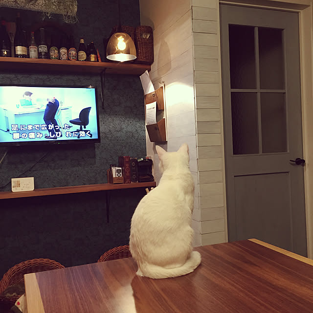 oniyomeさんの実例写真