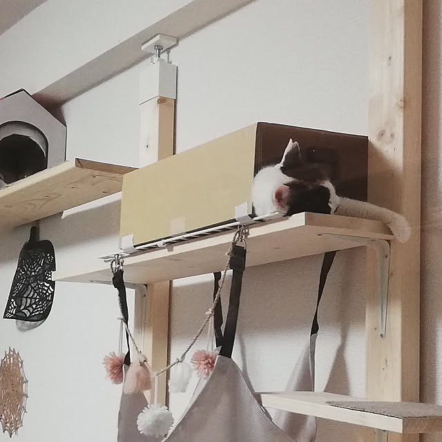 chocoさんの実例写真