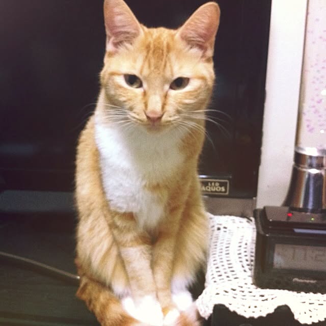 Yasumiさんの実例写真