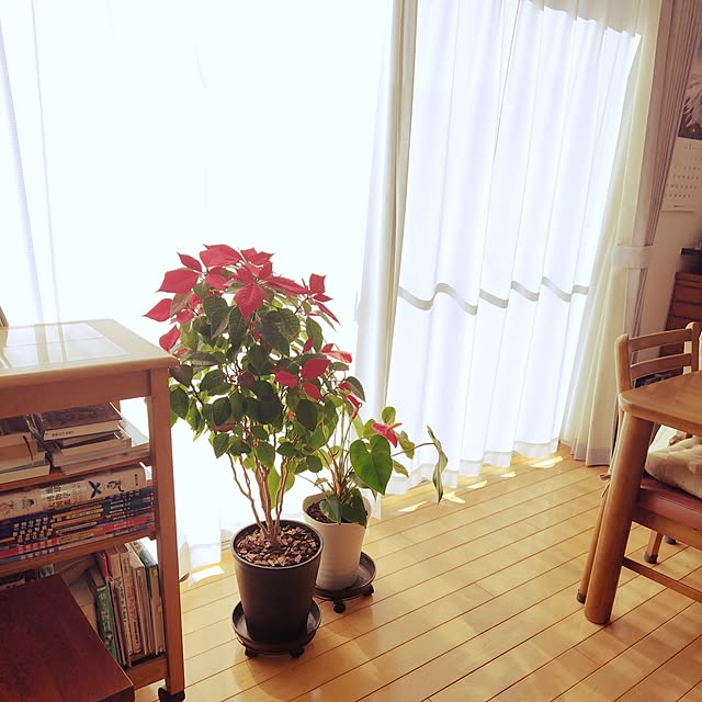 mutsuさんの部屋