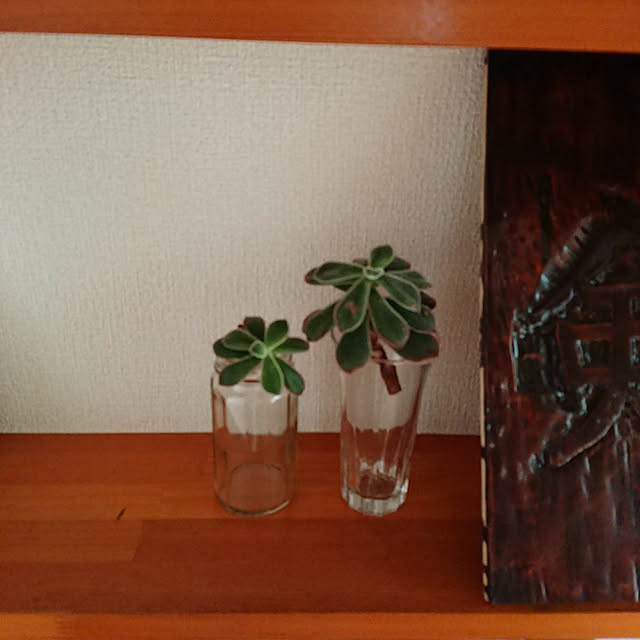 ayaさんの実例写真