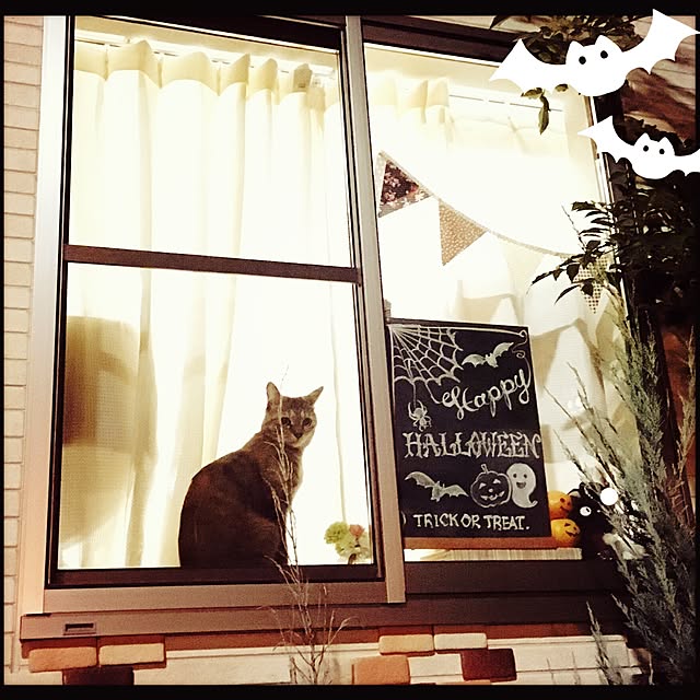 Chapter_3さんの実例写真